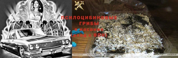 гидра Приозерск
