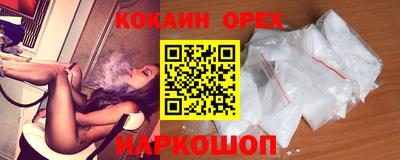 гидра Гатчина