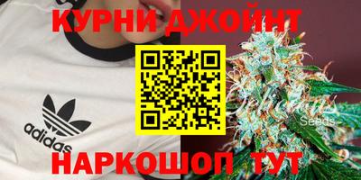 гидра Гатчина