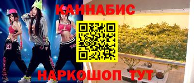 гидра Гатчина