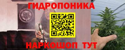 гидра Гатчина