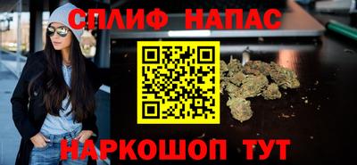 гидра Гатчина