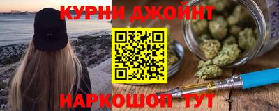 гидра Гатчина