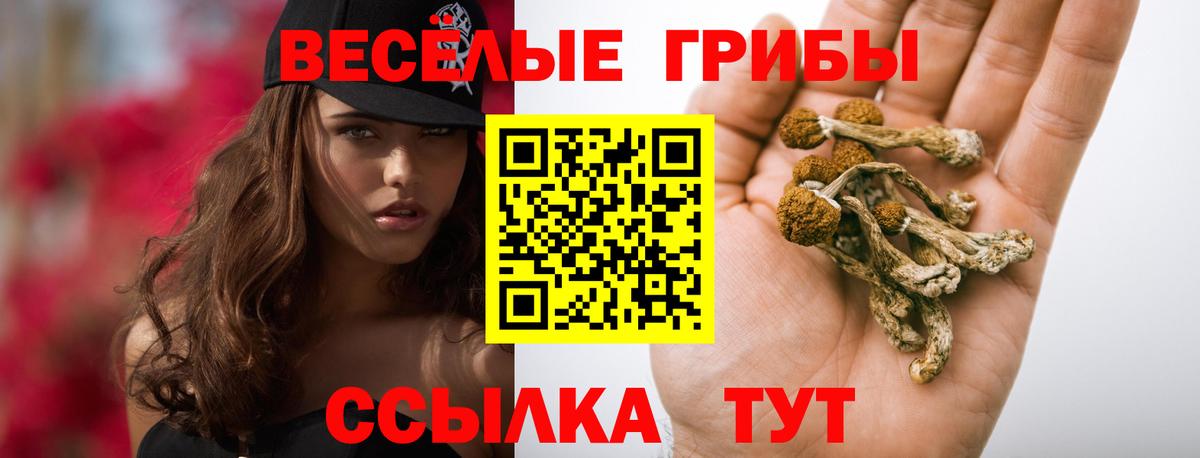 цены   Псилоцибиновые грибы Cubensis  Вход с VPN  Галлюциногенные грибы Cubensis  Свободный 